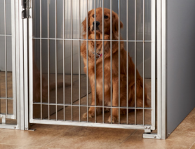 Ah-Boarding-and-Containment-Button Ah-Boarding-and-Containment-Button