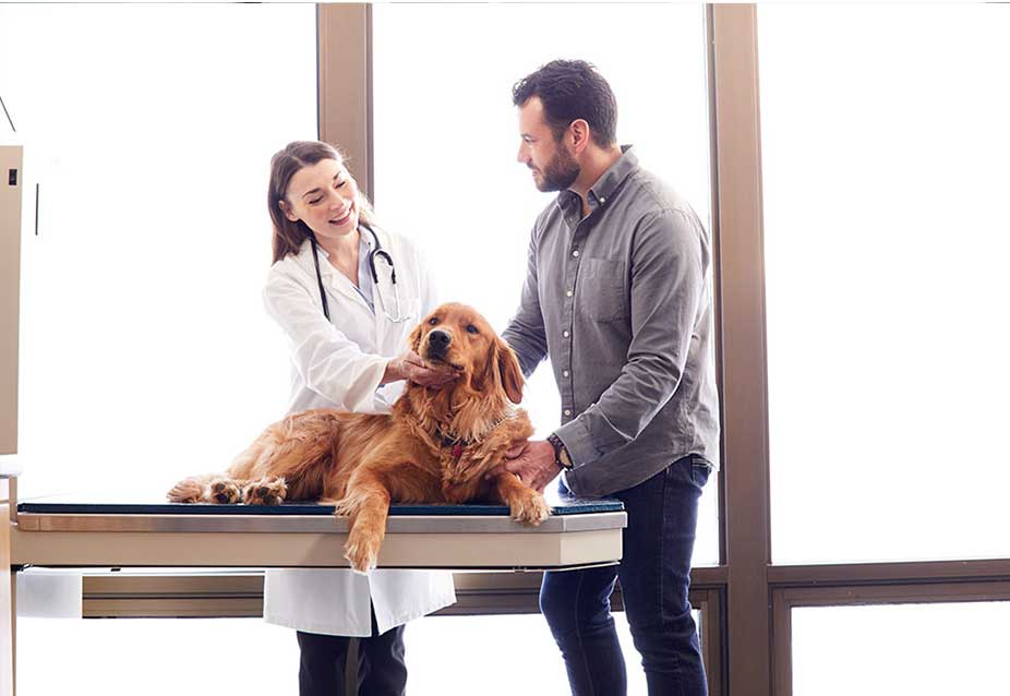 ah-bu-T&E-2 ah-bu-T&E-2