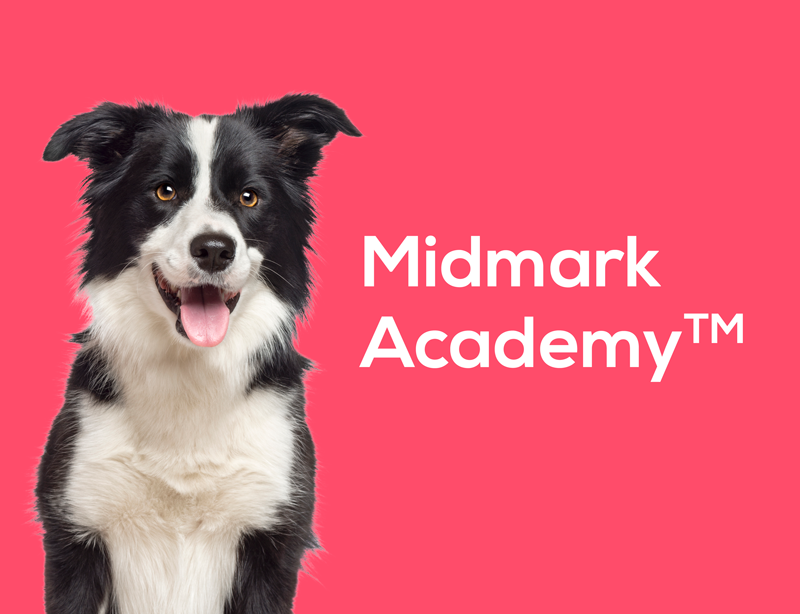 midmark-academy midmark-academy