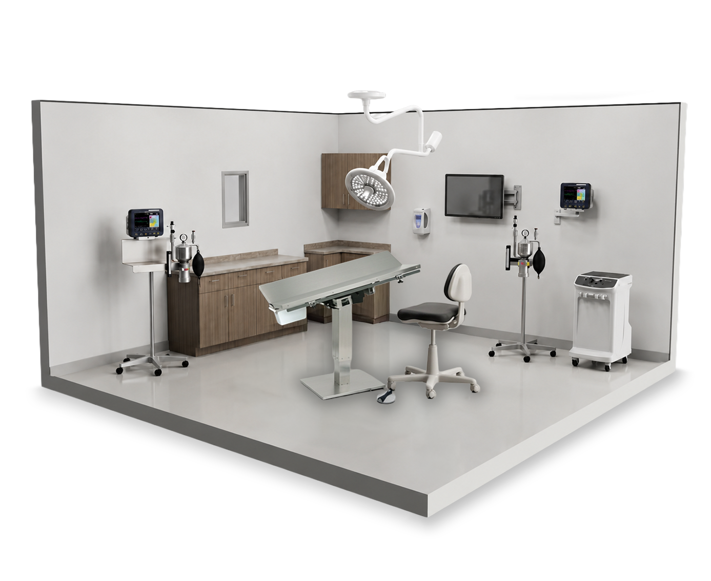 Complex single-room veterinary space rendering