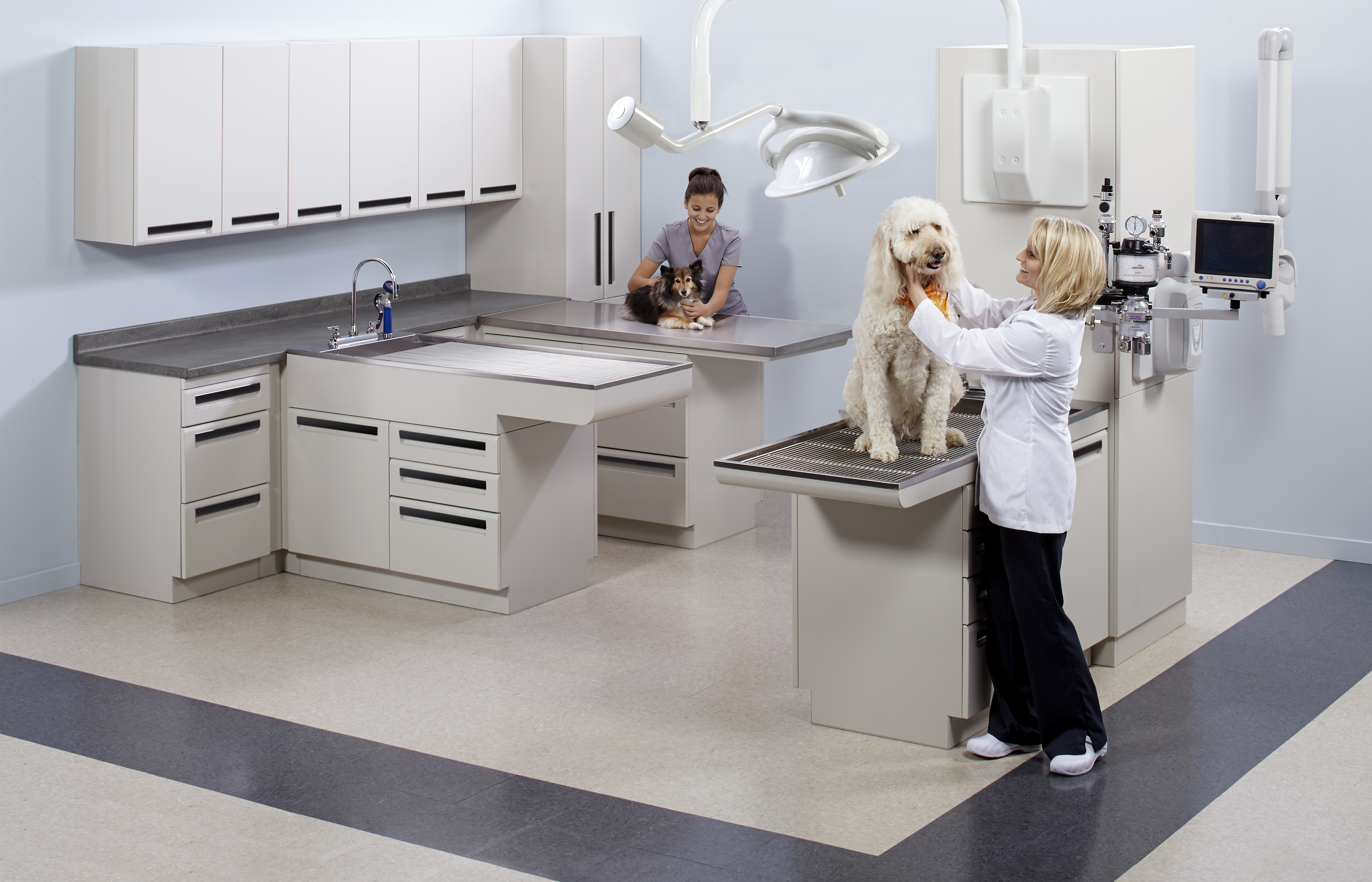 Treatment_Room_Solutions_2Dogs_Models