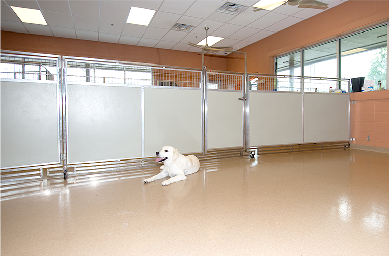 dog-daycare-mobile-room-divider-thumbnail-02