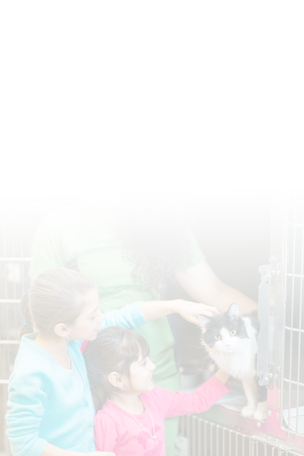 Children petting cat